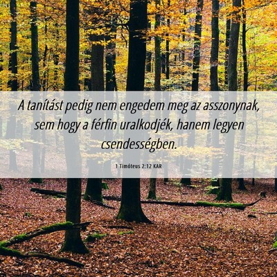 Picture 06 - 1 Timóteus 2:12 KAR - A tanítást pedig nem engedem meg az asszonynak, - Bible Verse Picture