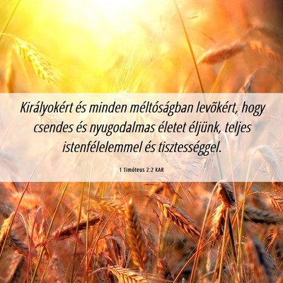 Picture 06 - 1 Timóteus 2:2 KAR - Királyokért és minden méltóságban - Bible Verse Picture