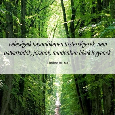 Picture 06 - 1 Timóteus 3:11 KAR - Feleségeik hasonlóképen tisztességesek, nem - Bible Verse Picture