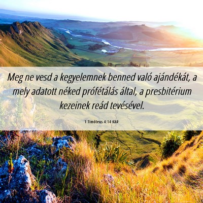 Picture 06 - 1 Timóteus 4:14 KAR - Meg ne vesd a kegyelemnek benned való - Bible Verse Picture