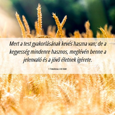Picture 06 - 1 Timóteus 4:8 KAR - Mert a test gyakorlásának kevés haszna van; de - Bible Verse Picture
