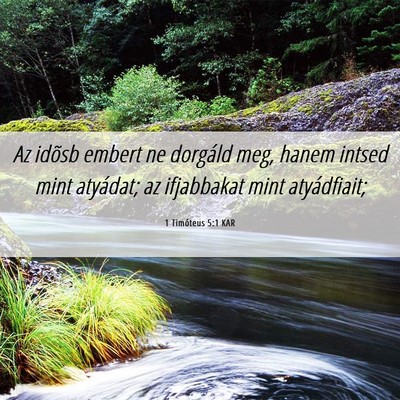 Picture 06 - 1 Timóteus 5:1 KAR - Az idõsb embert ne dorgáld meg, hanem intsed - Bible Verse Picture