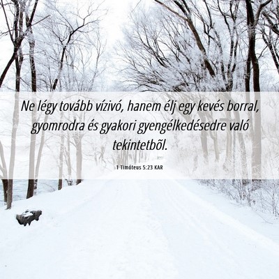 Picture 06 - 1 Timóteus 5:23 KAR - Ne légy tovább vízivó, hanem élj egy kevés - Bible Verse Picture