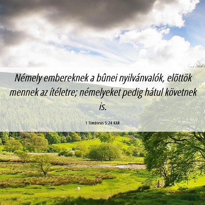 Picture 06 - 1 Timóteus 5:24 KAR - Némely embereknek a bûnei nyilvánvalók, - Bible Verse Picture