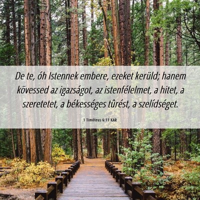 Picture 06 - 1 Timóteus 6:11 KAR - De te, óh Istennek embere, ezeket kerüld; hanem - Bible Verse Picture