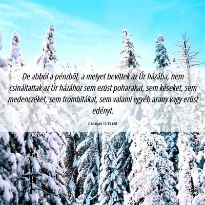 Picture 06 - 2 Királyok 12:13 KAR - De abból a pénzbõl, a melyet bevittek az Úr - Bible Verse Picture