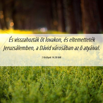 Picture 06 - 2 Királyok 14:20 KAR - És visszahozták õt lovakon, és eltemetteték - Bible Verse Picture