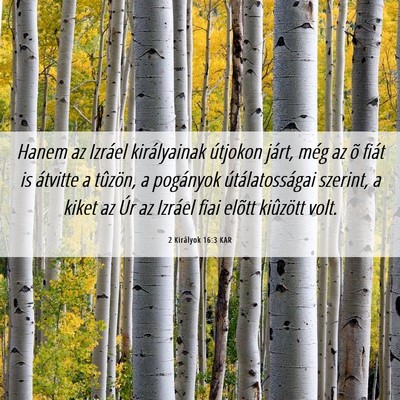 Picture 06 - 2 Királyok 16:3 KAR - Hanem az Izráel királyainak útjokon járt, - Bible Verse Picture