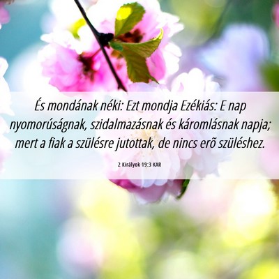Picture 06 - 2 Királyok 19:3 KAR - És mondának néki: Ezt mondja Ezékiás: E nap - Bible Verse Picture