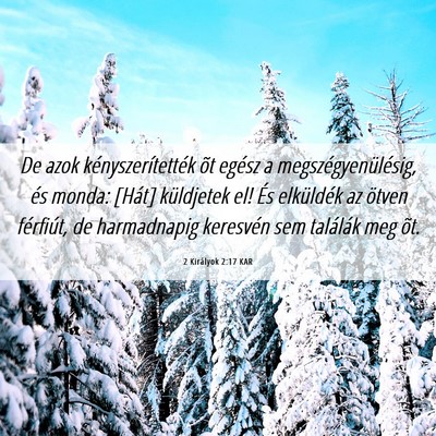 Picture 06 - 2 Királyok 2:17 KAR - De azok kényszerítették õt egész a - Bible Verse Picture
