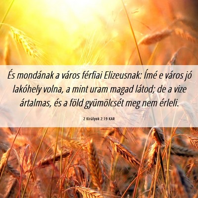 Picture 06 - 2 Királyok 2:19 KAR - És mondának a város férfiai Elizeusnak: Ímé - Bible Verse Picture