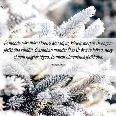 Picture 06 - 2 Királyok 2:4 KAR - És monda néki Illés: Elizeus! Maradj itt, - Bible Verse Picture