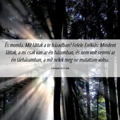 Picture 06 - 2 Királyok 20:15 KAR - És monda: Mit láttak a te házadban? Felele - Bible Verse Picture