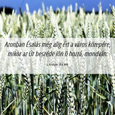Picture 06 - 2 Királyok 20:4 KAR - Azonban Ésaiás még alig ért a város - Bible Verse Picture