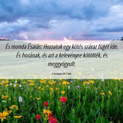 Picture 06 - 2 Királyok 20:7 KAR - És monda Ésaiás: Hozzatok egy kötés száraz - Bible Verse Picture