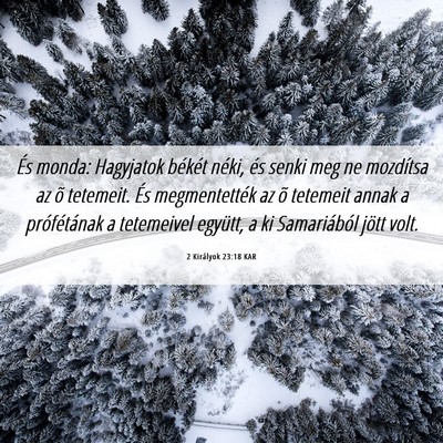 Picture 06 - 2 Királyok 23:18 KAR - És monda: Hagyjatok békét néki, és senki meg - Bible Verse Picture