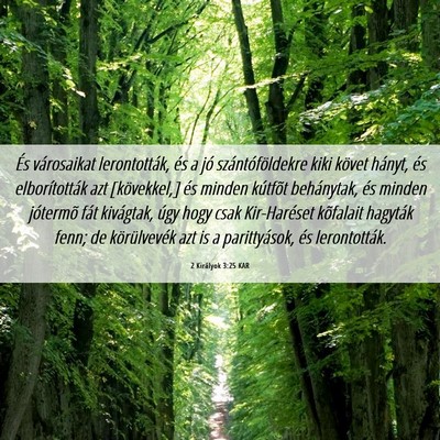 Picture 06 - 2 Királyok 3:25 KAR - És városaikat lerontották, és a jó - Bible Verse Picture