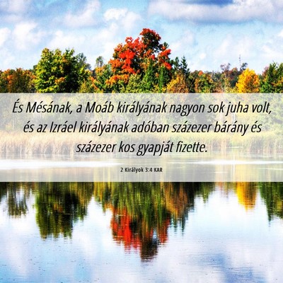 Picture 06 - 2 Királyok 3:4 KAR - És Mésának, a Moáb királyának nagyon sok - Bible Verse Picture