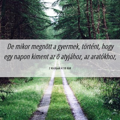 Picture 06 - 2 Királyok 4:18 KAR - De mikor megnõtt a gyermek, történt, hogy egy - Bible Verse Picture