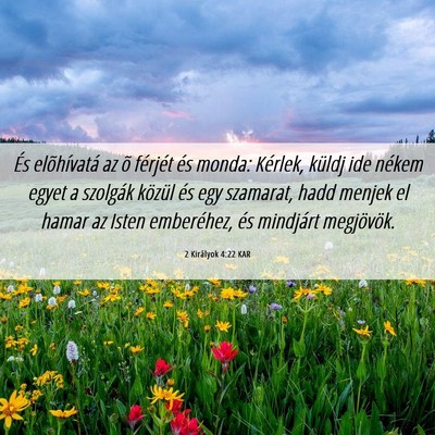 Picture 06 - 2 Királyok 4:22 KAR - És elõhívatá az õ férjét és monda: - Bible Verse Picture