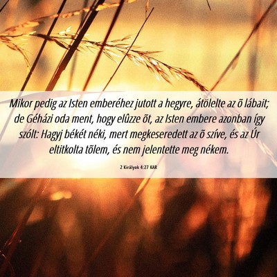 Picture 06 - 2 Királyok 4:27 KAR - Mikor pedig az Isten emberéhez jutott a hegyre, - Bible Verse Picture