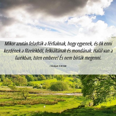 Picture 06 - 2 Királyok 4:40 KAR - Mikor azután feladták a férfiaknak, hogy - Bible Verse Picture