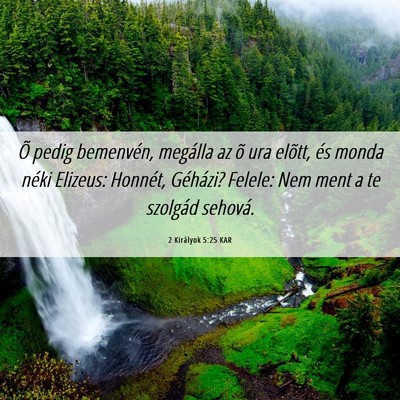 Picture 06 - 2 Királyok 5:25 KAR - Õ pedig bemenvén, megálla az õ ura elõtt, - Bible Verse Picture