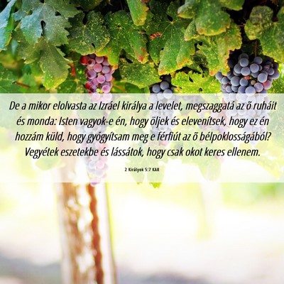 Picture 06 - 2 Királyok 5:7 KAR - De a mikor elolvasta az Izráel királya a - Bible Verse Picture