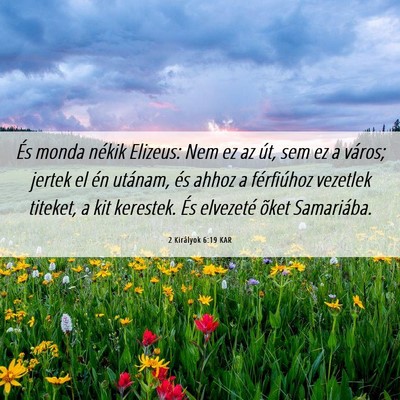 Picture 06 - 2 Királyok 6:19 KAR - És monda nékik Elizeus: Nem ez az út, sem ez a - Bible Verse Picture