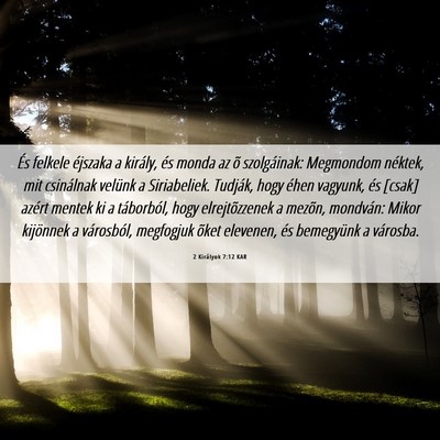 Picture 06 - 2 Királyok 7:12 KAR - És felkele éjszaka a király, és monda az õ - Bible Verse Picture