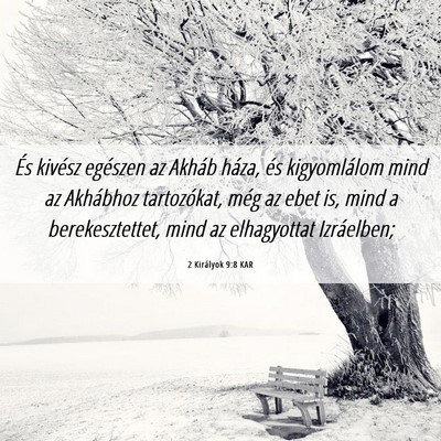 Picture 06 - 2 Királyok 9:8 KAR - És kivész egészen az Akháb háza, és - Bible Verse Picture