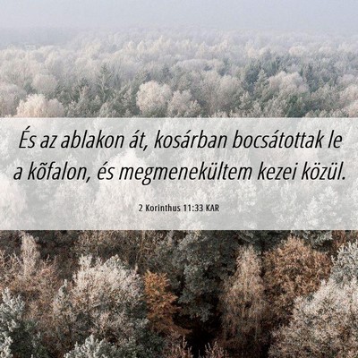 Picture 06 - 2 Korinthus 11:33 KAR - És az ablakon át, kosárban bocsátottak le a - Bible Verse Picture