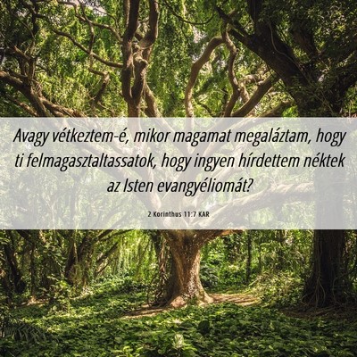 Picture 06 - 2 Korinthus 11:7 KAR - Avagy vétkeztem-é, mikor magamat megaláztam, - Bible Verse Picture