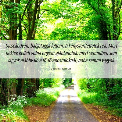 Picture 06 - 2 Korinthus 12:11 KAR - Dicsekedvén, balgataggá lettem; ti - Bible Verse Picture
