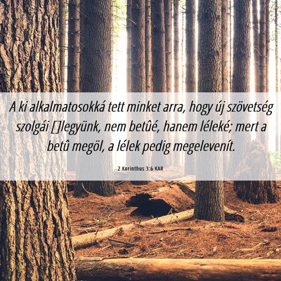 Picture 06 - 2 Korinthus 3:6 KAR - A ki alkalmatosokká tett minket arra, hogy új - Bible Verse Picture