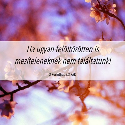 Picture 06 - 2 Korinthus 5:3 KAR - Ha ugyan felöltözötten is mezíteleneknek nem - Bible Verse Picture