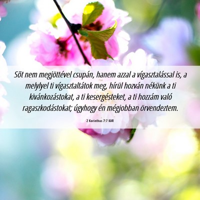 Picture 06 - 2 Korinthus 7:7 KAR - Sõt nem megjöttével csupán, hanem azzal a - Bible Verse Picture
