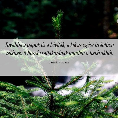 Picture 06 - 2 Krónika 11:13 KAR - Továbbá a papok és a Léviták, a kik az - Bible Verse Picture