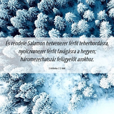 Picture 06 - 2 Krónika 2:2 KAR - És rendele Salamon hetvenezer férfit - Bible Verse Picture