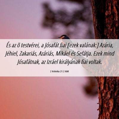 Picture 06 - 2 Krónika 21:2 KAR - És az õ testvérei, a Jósafát fiai [ezek - Bible Verse Picture