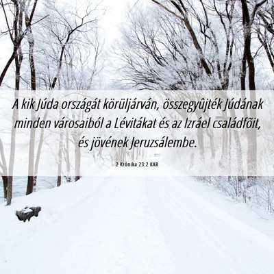 Picture 06 - 2 Krónika 23:2 KAR - A kik Júda országát körüljárván, - Bible Verse Picture
