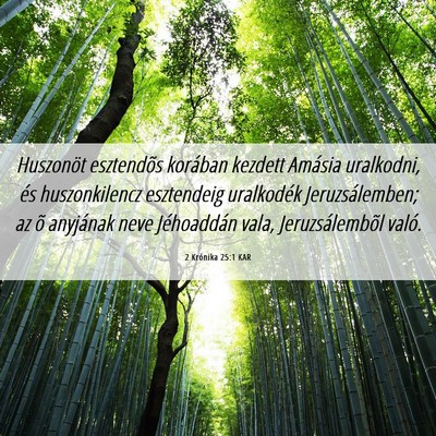 Picture 06 - 2 Krónika 25:1 KAR - Huszonöt esztendõs korában kezdett Amásia - Bible Verse Picture