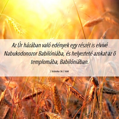 Picture 06 - 2 Krónika 36:7 KAR - Az Úr házában való edények egy részét is - Bible Verse Picture