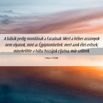 Picture 06 - 2 Mózes 1:19 KAR - A bábák pedig mondának a Faraónak: Mert a - Bible Verse Picture