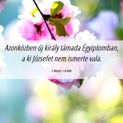 Picture 06 - 2 Mózes 1:8 KAR - Azonközben új király támada Égyiptomban, a - Bible Verse Picture
