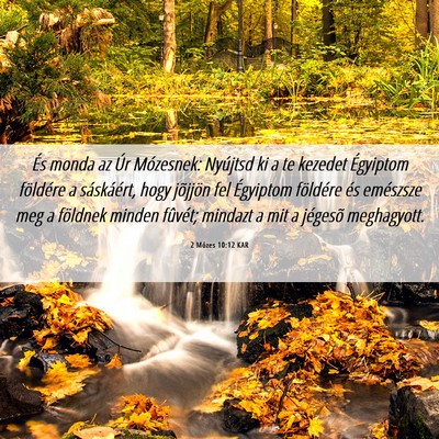Picture 06 - 2 Mózes 10:12 KAR - És monda az Úr Mózesnek: Nyújtsd ki a te - Bible Verse Picture