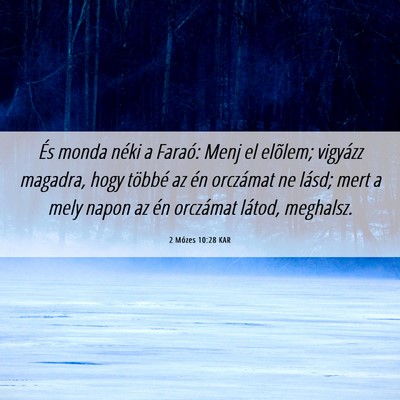 Picture 06 - 2 Mózes 10:28 KAR - És monda néki a Faraó: Menj el elõlem; - Bible Verse Picture
