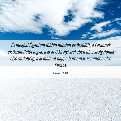 Picture 06 - 2 Mózes 11:5 KAR - És meghal Égyiptom földén minden - Bible Verse Picture
