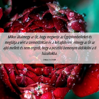 Picture 06 - 2 Mózes 12:23 KAR - Mikor általmegy az Úr, hogy megverje az - Bible Verse Picture