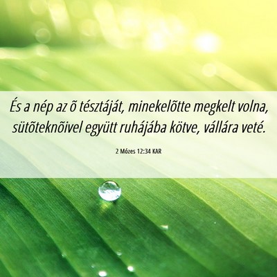 Picture 06 - 2 Mózes 12:34 KAR - És a nép az õ tésztáját, minekelõtte - Bible Verse Picture